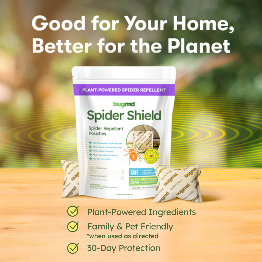 Spider Shield - Image 5