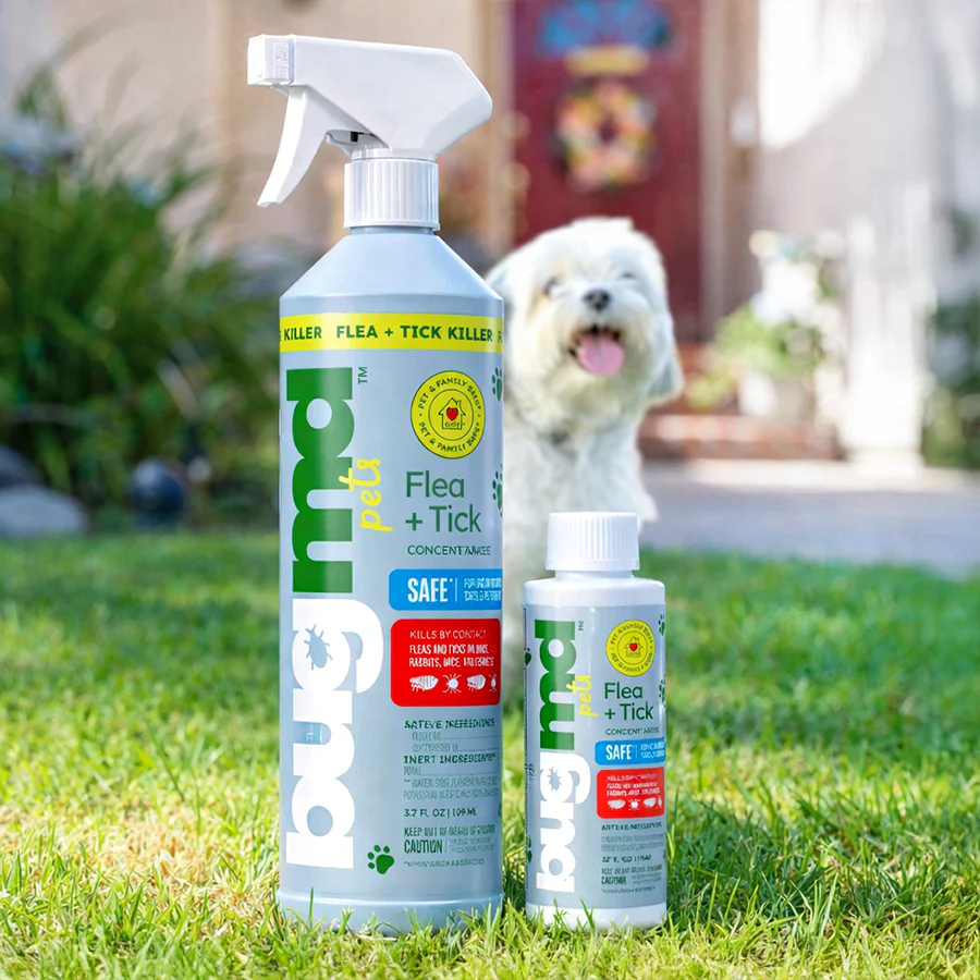 Spray Bottle - Image 3
