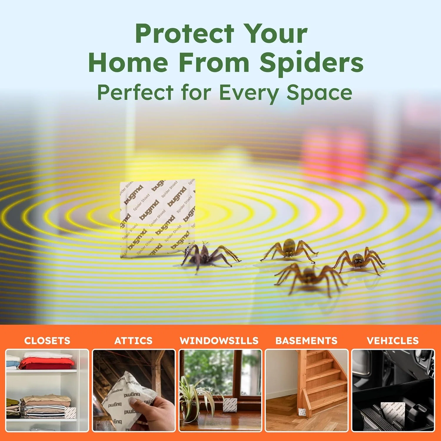 Spider Shield - Image 4