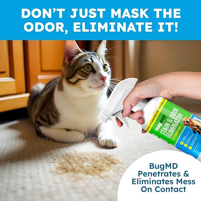 Pet Odor Eliminator - Image 4