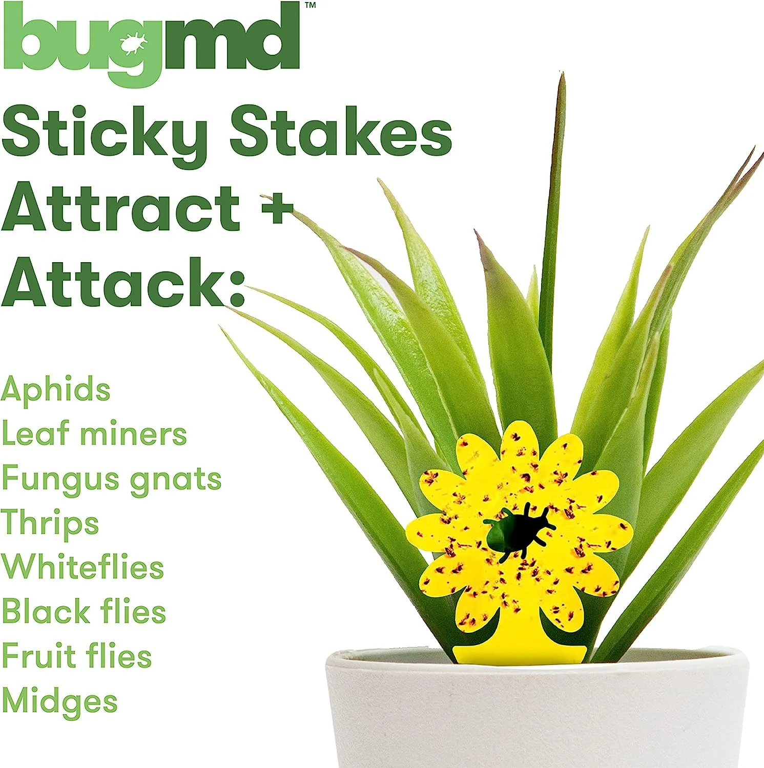 Sticky Stakes - Image 3