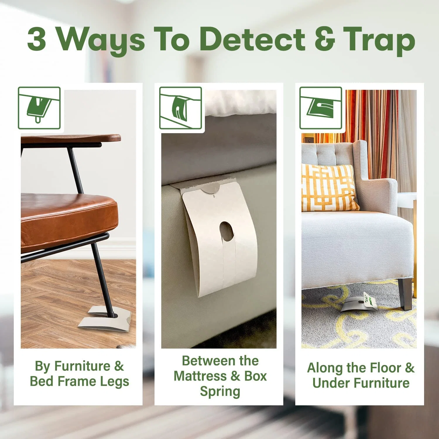 The Bed Bug Traps - Image 4